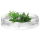 MPM Product SUSZ DO GRZYB MSG-11 MPM - 1269412 - zdjęcie 4